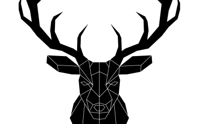 Deuxième Illustration Tête de Cerf ( 2 version )