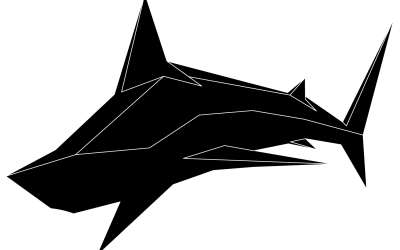 Deuxième Illustration Requin Blanc ( 2 version )