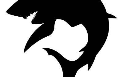 Quatrième Illustration Requin Blanc ( 2 version )